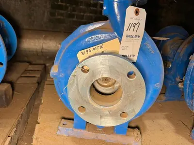 USED GOULDS 3196