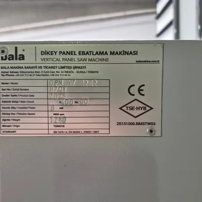 Used 2025 BALA MAKINA DPM 2242 Woodworking Panel Saws Florida US | Machinery Sales, LLC #1315194