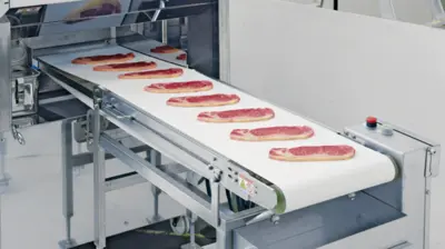 Nantsune Model NTD-300 Libra 300C Fixed Weight Meat Slicer