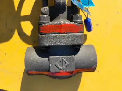 1" Class 800 Globe Valve API 602