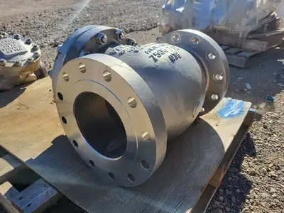 8" Class 300 Check Valve B16.34