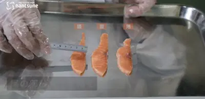 Nantsune Model SSN-180 Apollo Industrial Diagonal Fish and Meat Multi-Slicer