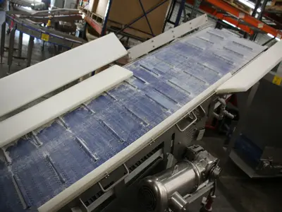 Used AMFEC BC 200 Belt Conveyors Illinois US | M&M Equipment Corp. #1377272