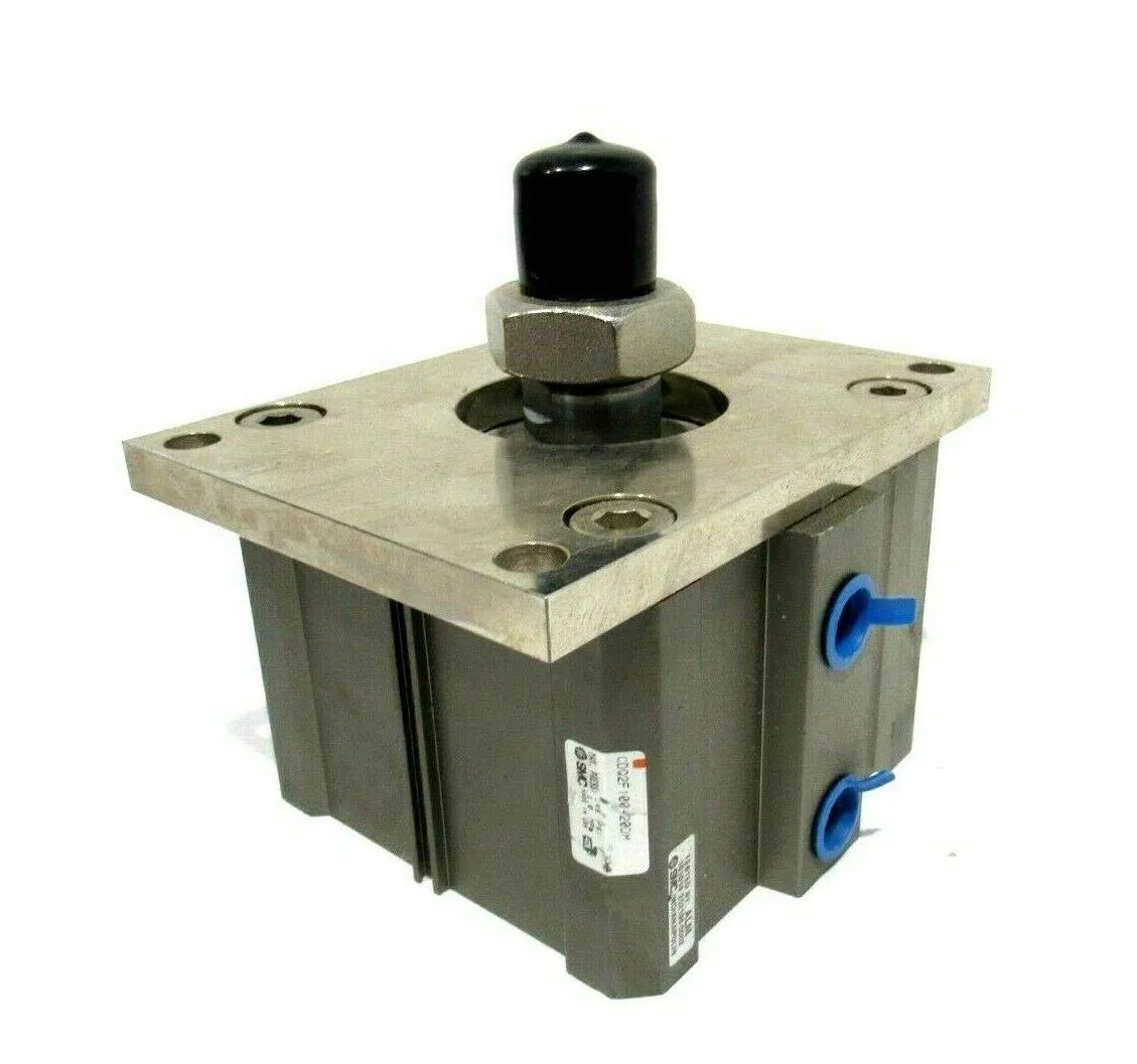 NEW SMC CDQ2F 100-20DM CYLINDER CDQ2F10020DM