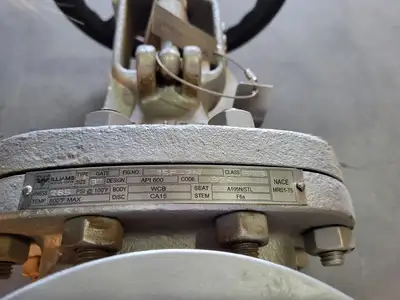 3" Class 150 Gate Valve API 600