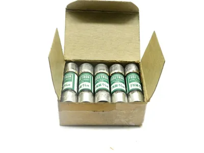 10 NEW FUSETRON FNM 2/10 DUAL ELEMENT FUSES FNM210
