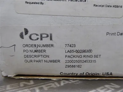 CPI 220025052453315 Z9586162 Packing Ring Set 2-1/2" Qty. 4 New NIB