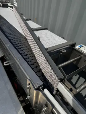 Alliance Infeed/ Dump conveyor