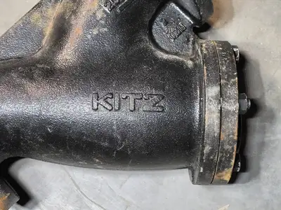 3" Class 125 Wye Y-Strainer