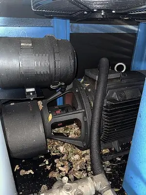 USED US AIR COMPRESSOR US100DI
