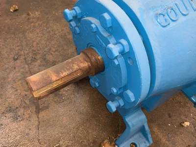 USED Goulds 3175