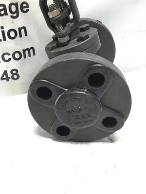 New Flowserve Vogt 373  Size: 3/4″ 600 Gate Valve API602/B16.34