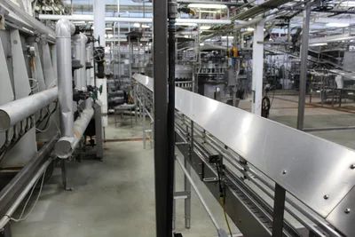 Transfer Conveyors