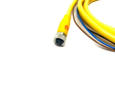 BCC050Y, BCC M313-0000-10-001-VX43T2-020 | Balluff BCC050Y Single Ended Cordset BCC M313-0000-10-001-VX43T2-020 - Used