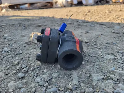 1" Class 800 Check Valve API 602