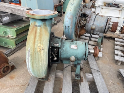 USED Goulds 3196 XLT