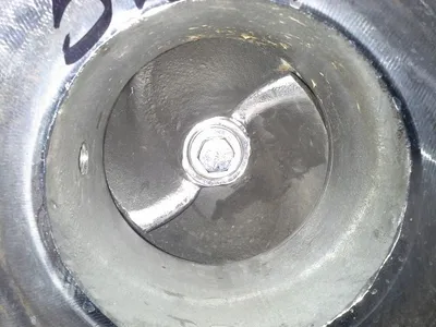 USED Goulds 3175