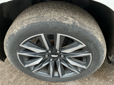 Used 2021 CADILLAC ESCALADE SUVs Michigan US | Miedema Asset Management Group #1320386