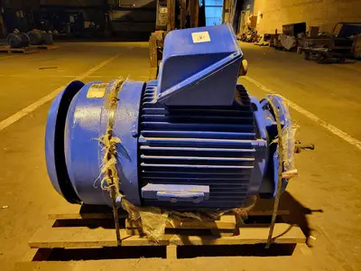 60 hp, 575 volts, 1170 rpm, 365LPZ, Electric Motor