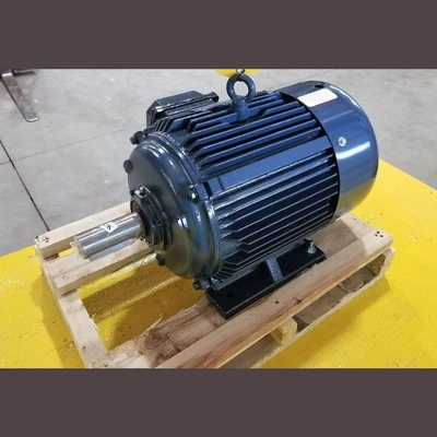 New Marathon Electric Blue Chip 15 hp Motor