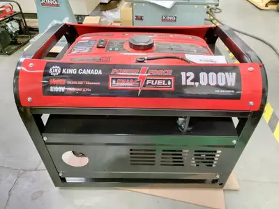 New | in-Stock KING CANADA KCG-12001GE-DF Generators British Columbia CA | Lenmark #277351