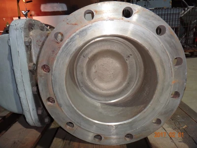 Wada 10", Class 150, CF8M, Gate Valve