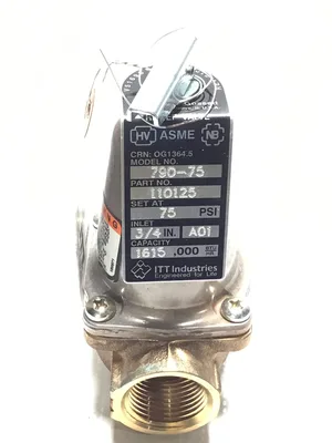 ITT Bell & Gossett 790-75 Safety Relief Valve 3/4″ Inlet
