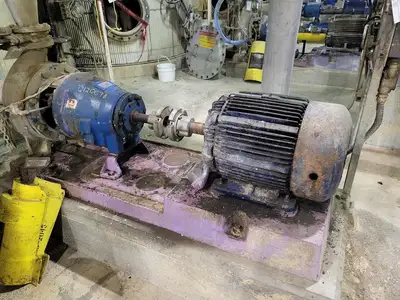 USED GOULDS 3175S