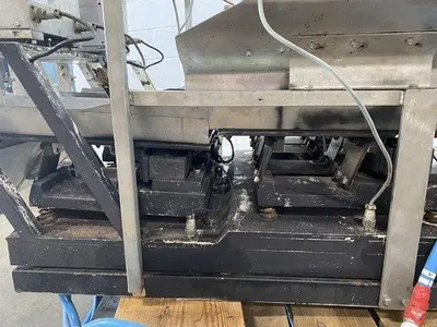 Dual-Head Proportioning Scale