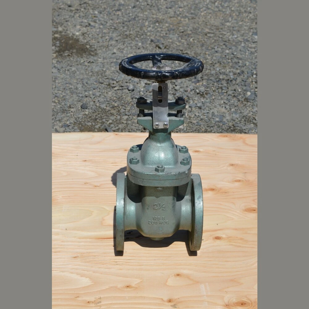 Red White 2.5 in. Gate Valves