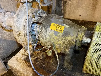 Used GOULDS 3175 Pumps Pennsylvania US | Global Equipment International, LLC #383537