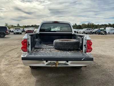 Used 2008 DODGE DAKOTA Pickup Trucks Michigan US | Miedema Asset Management Group #1461324