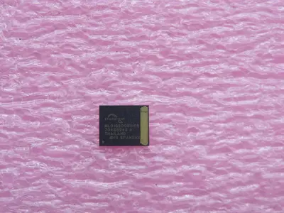 New | in-Stock INFINEON 17-4038101-01 ML01G200BHI00 Memory Texas US | Aucto #1308546
