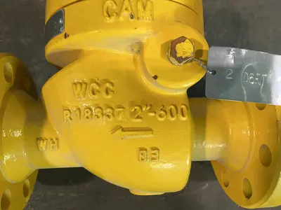 Used CAMERON 510/511 Pumps Ohio US | HGR 24 #1311019