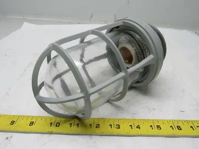 Appleton VU-100 V-51 Fixture Unit. Socket, Globe & Guard, Clear Mixed Lot/2