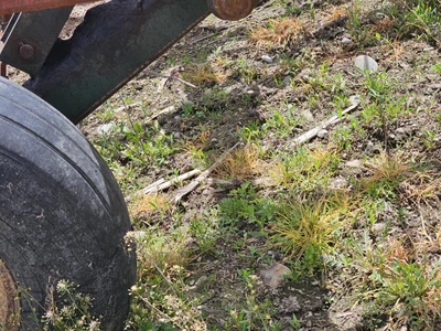 BRILLION CD-93 Tillage | Penncon Management, LLC (10)