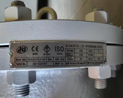 6" Class 150 Check Valve B16.34