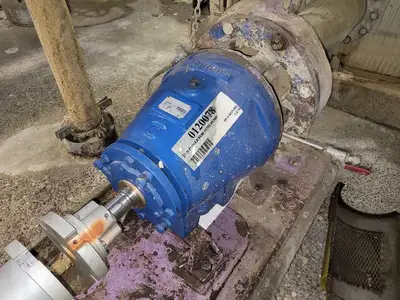USED GOULDS 3175S
