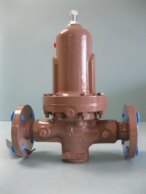NEW Cashco D56-5XX7-XAX55488E