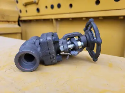 3/4" Class 800 Gate Valve API 602