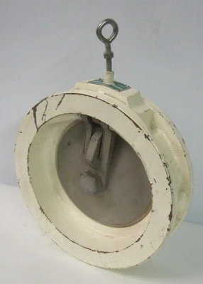 RITERPRO CHECK RITE 12 CET Wafer Combination Swing Valve 381194