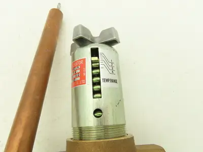 Nichiden Kogyo E60AA205AA Water Temperature Regulating Valve Remote Probe 3/4NPT