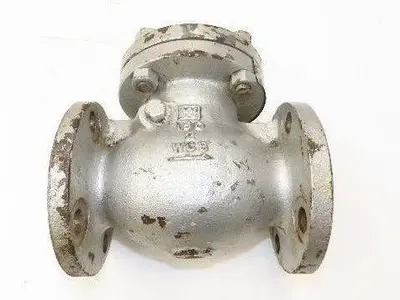 WM E Williams 151F2 Swing Check Valve 2" ANSI Flange Class 150