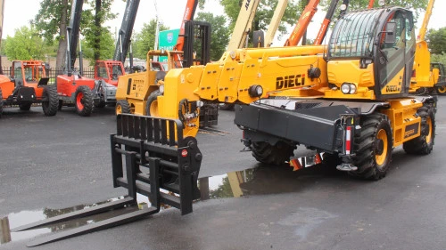 Used 2018 DIECI 40.25 PEGASUS Telehandlers Pennsylvania US | National Lift Equipment #1381279