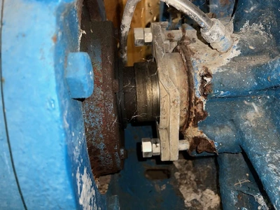 USED Goulds 3175