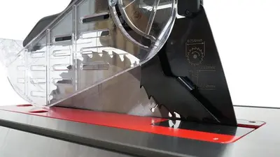 NEW LAGUNA F1