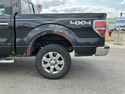 Used 2013 FORD F150 Pickup Trucks Michigan US | Miedema Asset Management Group #1423579