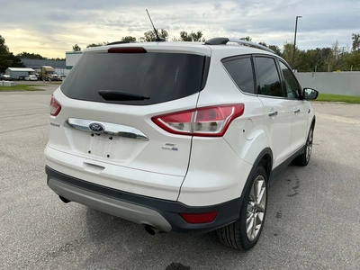 Used 2015 FORD ESCAPE SUVs Michigan US | Miedema Asset Management Group #1461417