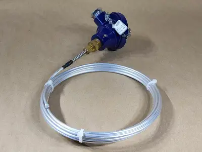 12' Averaging RTD Sensor