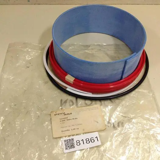 Used SYSTEM SEALS 5239393 Seals & Gaskets Michigan US | Ideal Machinery #710276